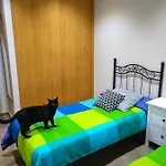 El Gato Negro Trefacio