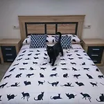 Prázdninový dům El Gato Negro Trefacio