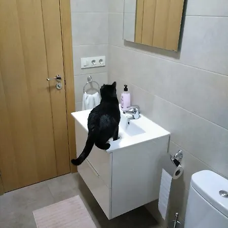 El Gato Negro