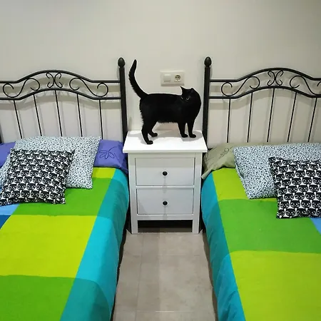 El Gato Negro