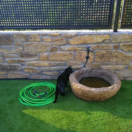 El Gato Negro Holiday home Trefacio