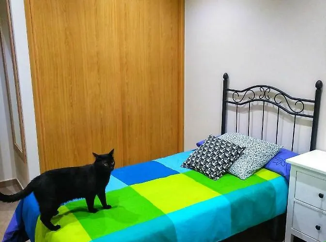 El Gato Negro Trefacio