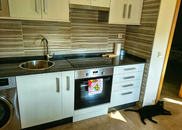 El Gato Negro * Trefacio