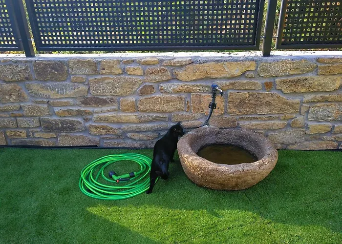 El Gato Negro Hébergement de vacances Trefacio